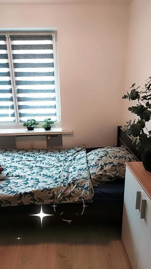 Apartament Ogrody/Jezyce Poznaň Exteriér fotografie